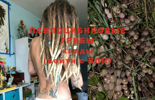 твердый Алексеевка