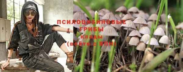 кристаллы Алексин
