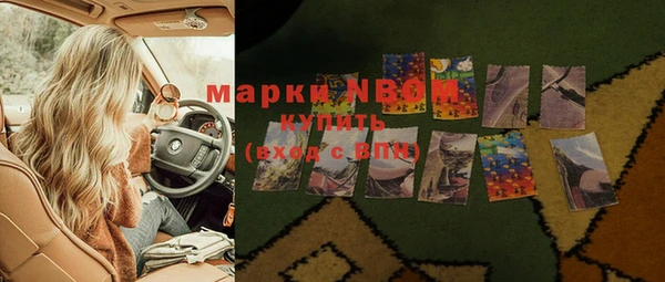 стафф Алзамай