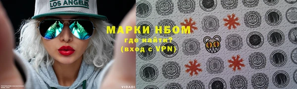 стафф Алзамай