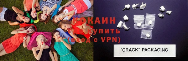 стафф Алзамай