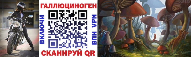 omg ТОР  закладки  Заволжск  Псилоцибиновые грибы Psilocybine cubensis 